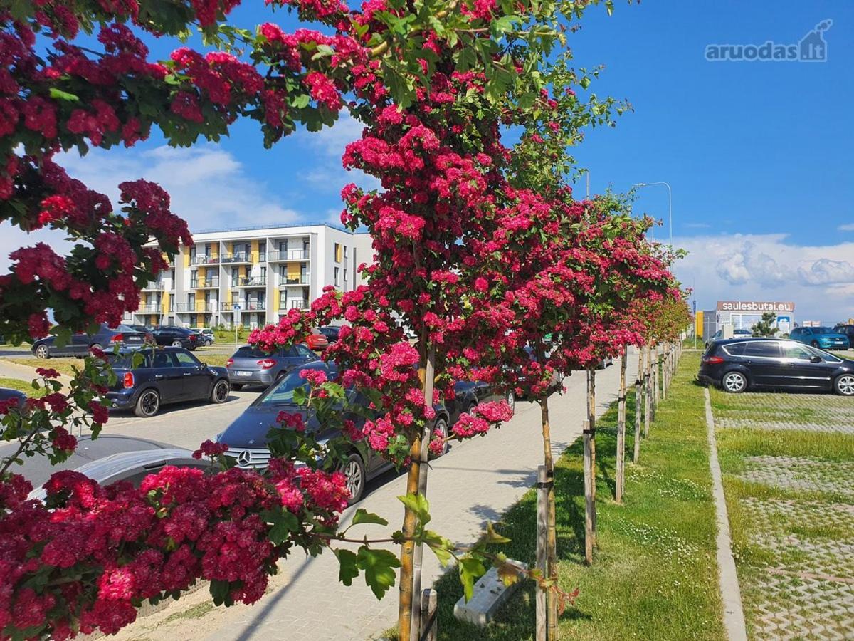 New Studio Free Parking ไคลเพดา ภายนอก รูปภาพ